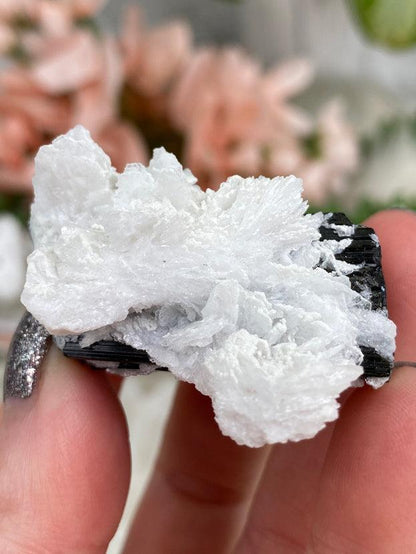 white-mica-around-black-tourmaline