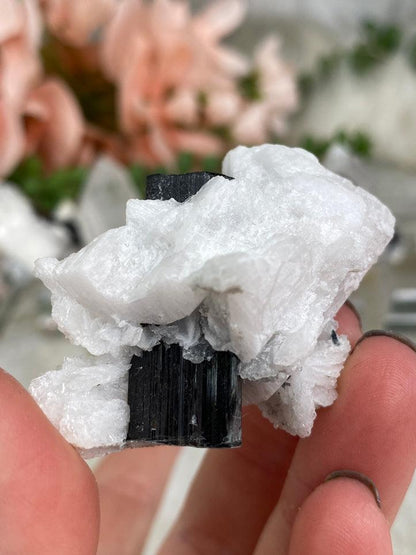 Black Tourmaline White Albite