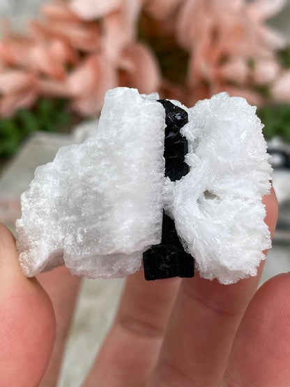 black-tourmaline-white-albite-specimens