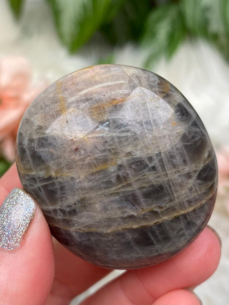 brown-moonstone-palm