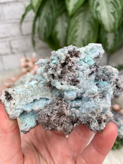 Mexico Aurichalcite