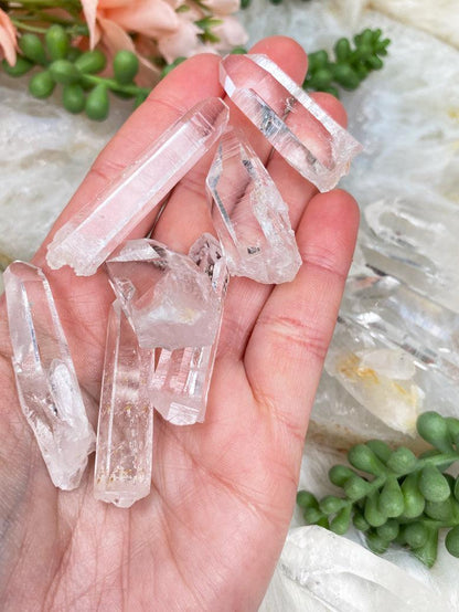 small-colombian-lemurian-points