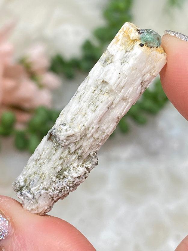 Mixed Beryl Specimens