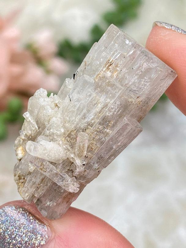 Mixed Beryl Specimens