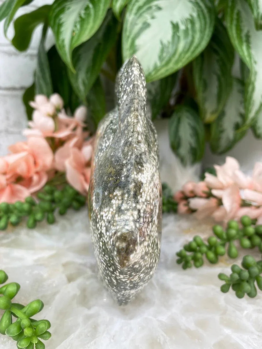 Ocean-Jasper-Fish-Other-Side