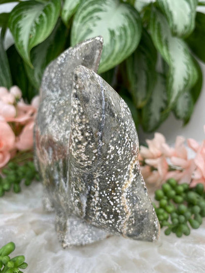 Ocean-Jasper-Fish-Side