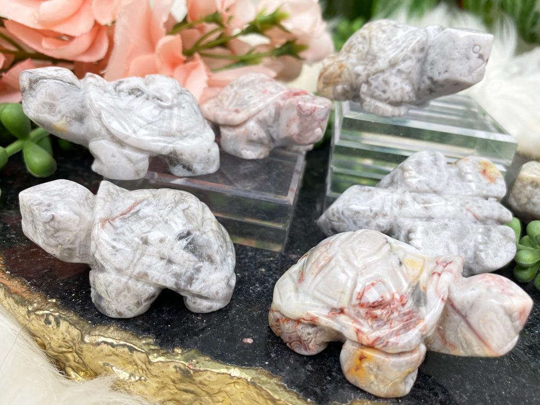 Crazy Lace Agate Turtle