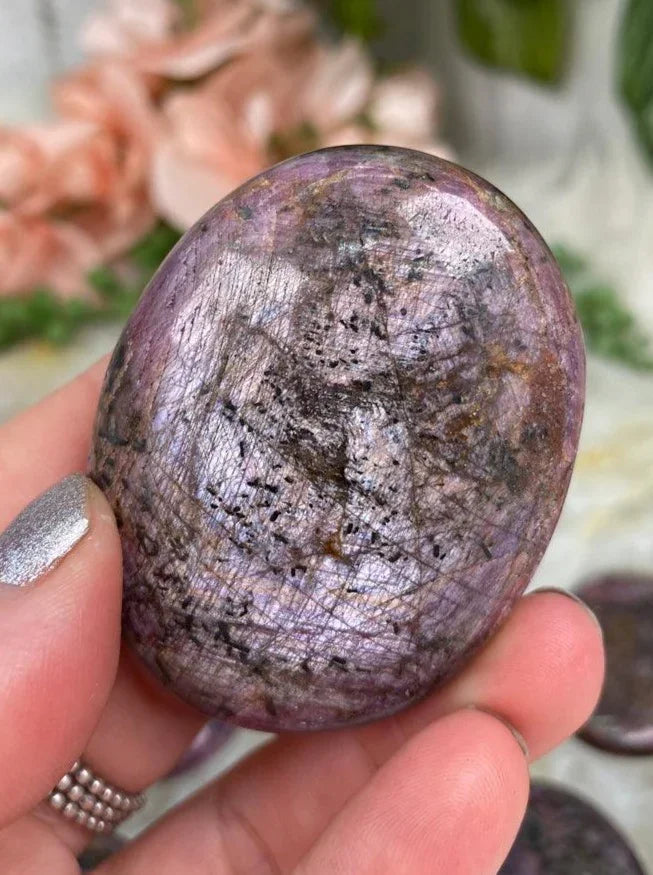 Indian-Star-Ruby-Palm