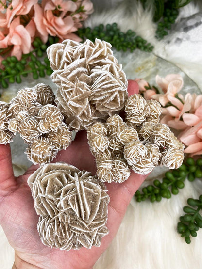 Large-Desert-Rose-Selenite-Clusters