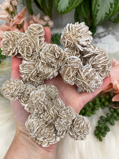     Large-Desert-Rose-Selenite