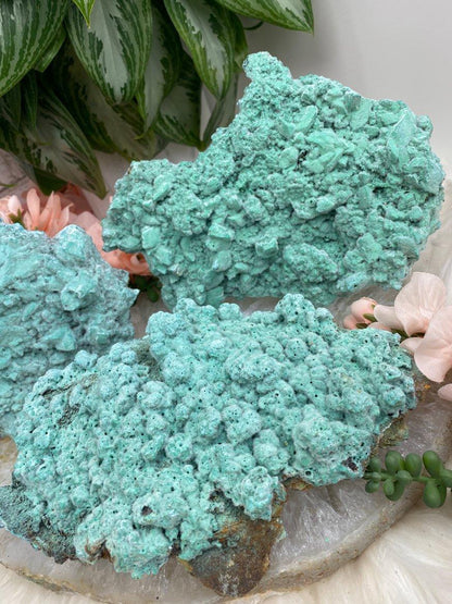 Large-Rare-Kobyashevite-Crystal-Cluster-Teal-Blue-Gypsum-Fur-Texture