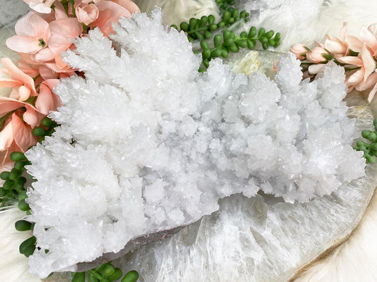    Large-White-Aragonite-Cluster