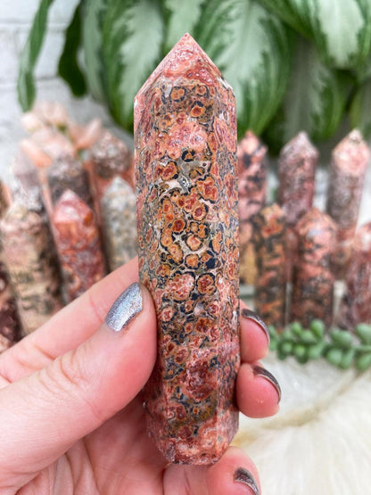 Leopard-Jasper-Point