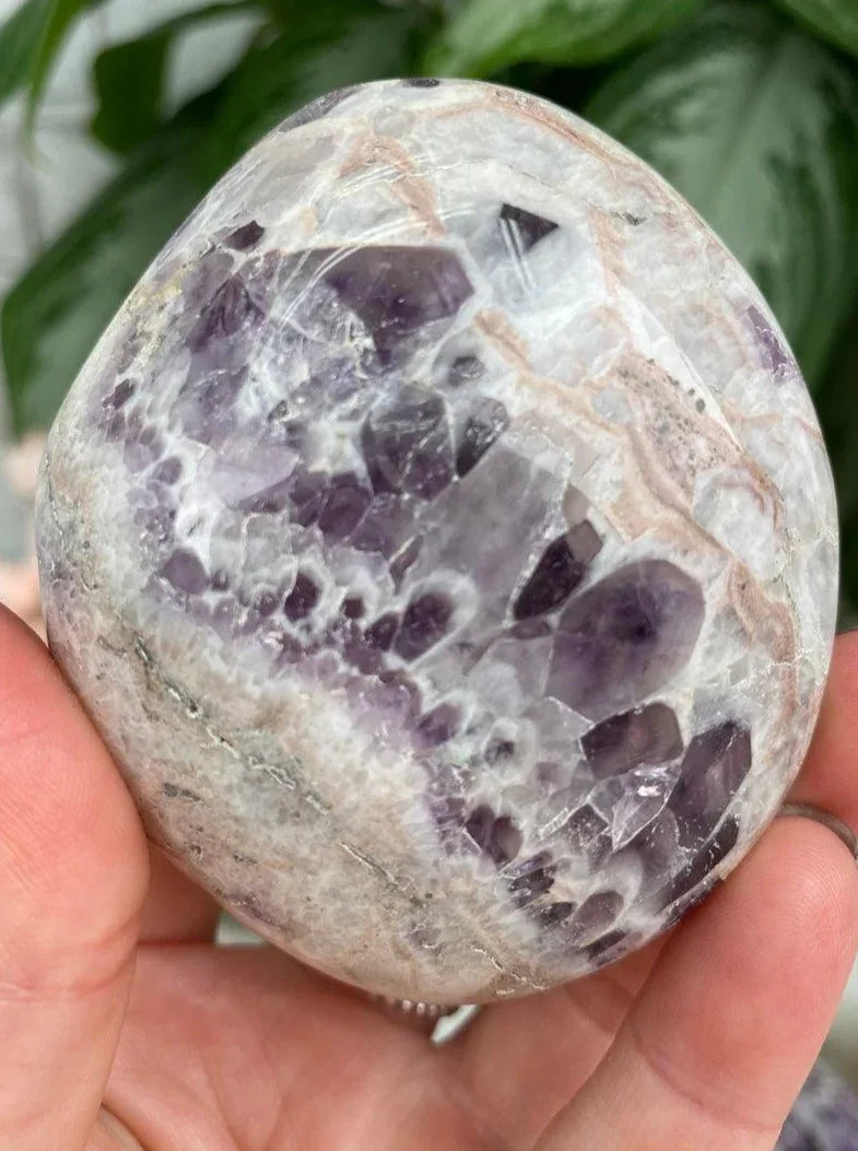 Madagascar-Chevron-Amethyst-Palm-Stone