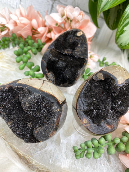 Madagascar-Septarian-Eggs