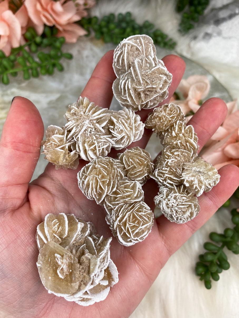 Mexico-Desert-Rose-Selenite