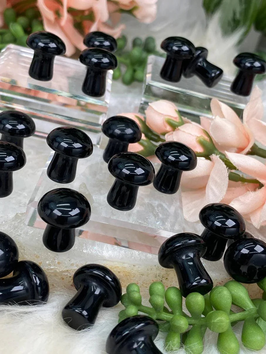 Mini-Black-Onyx-Mushrooms