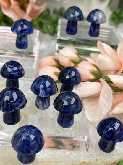Mini-Blue-Sodalite-Mushroom