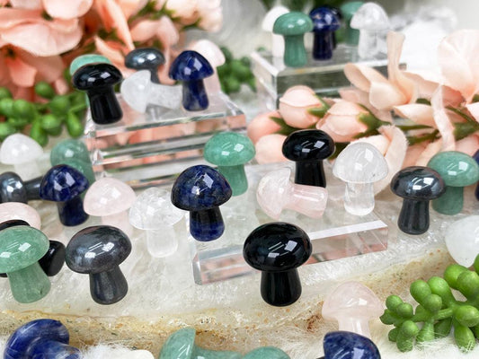 Mini-Mushroom-Crystals