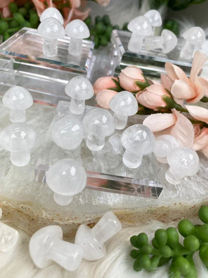 Mini-Quartz-Mushroom-Crystals