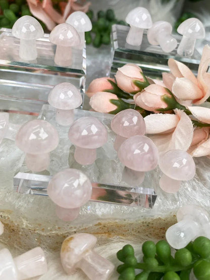 Mini-Rose-Quartz-Mushroom-Crystal