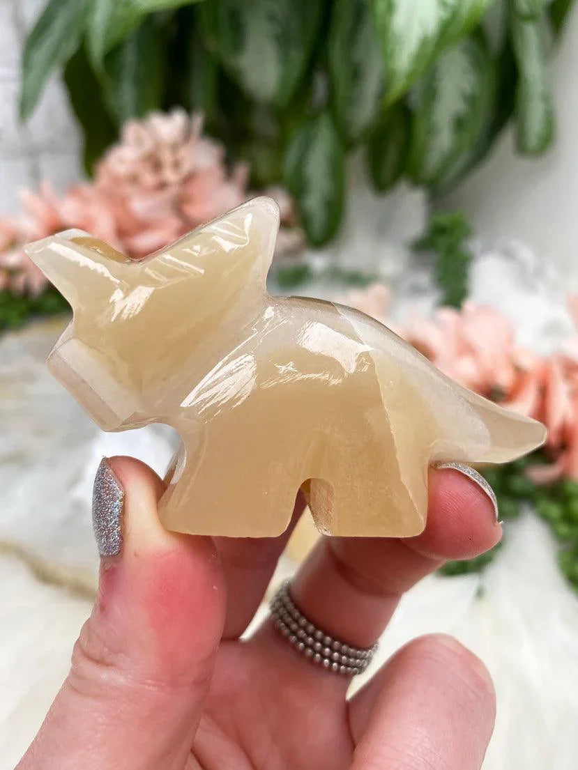 Orange-Onyx-Dinosaur