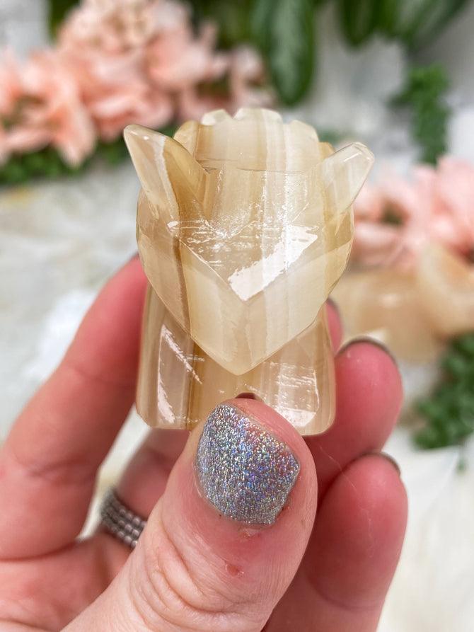 Orange-Onyx-Triceratops