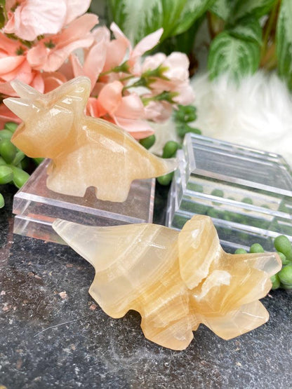    Orange-Onyx-Triceratops