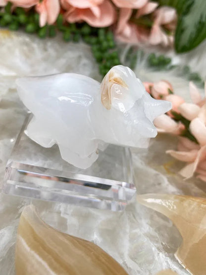 Orange-White-Onyx-Dinosaur