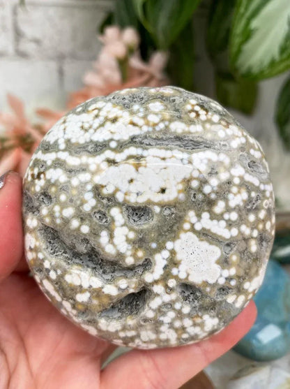 Ocean Jasper Palm Stones