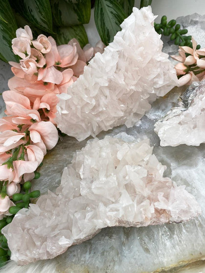 Pink-Blade-Calcite