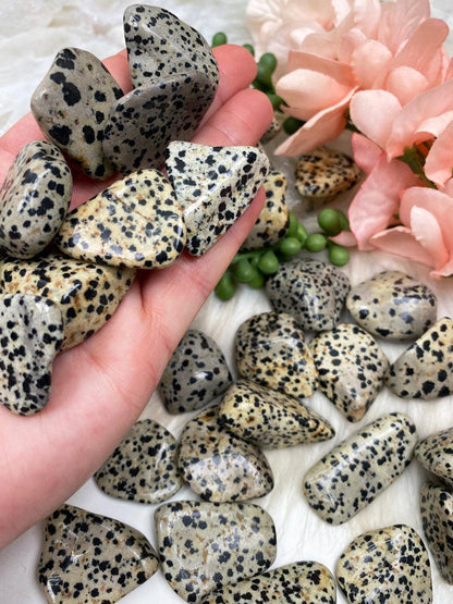 Tumbled-Polished-Black-White-Dalmatian-Stone-Crystals