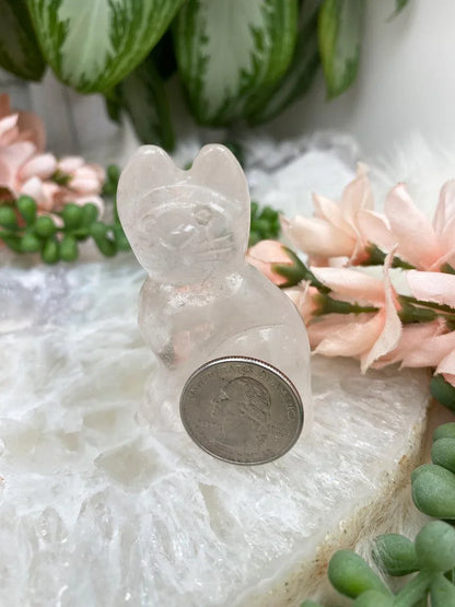 Quartz-Cat