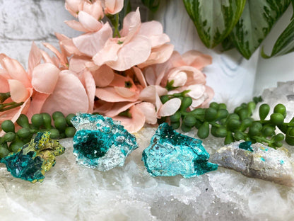 Raw-Dioptase-Crystal-Specimens
