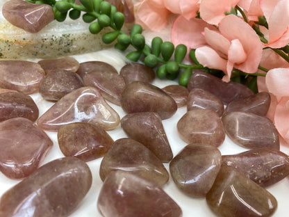 Tumbled-Red-Aventurine-Crystals-for-Gridding