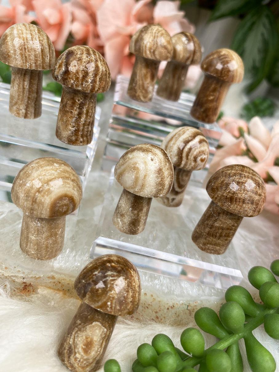 Rootbeer-Calcite-Mushroom-Crystals