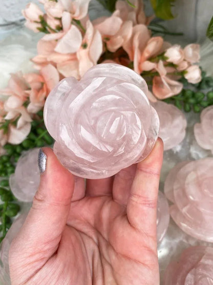 Rose-Quartz-Crystal-Rose