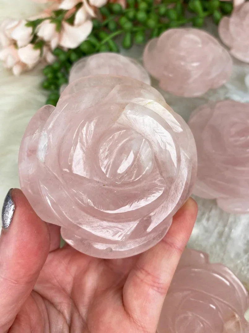 Rose-Quartz-Rose