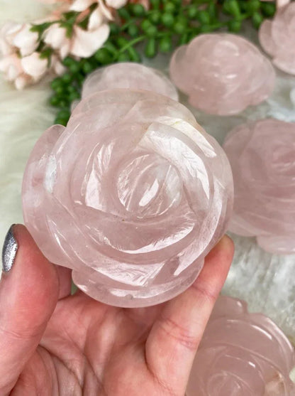 Rose-Quartz-Rose