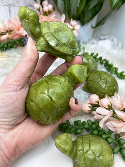 Serpentine-Turtle-Carved-Crystal-Animal-for-sale