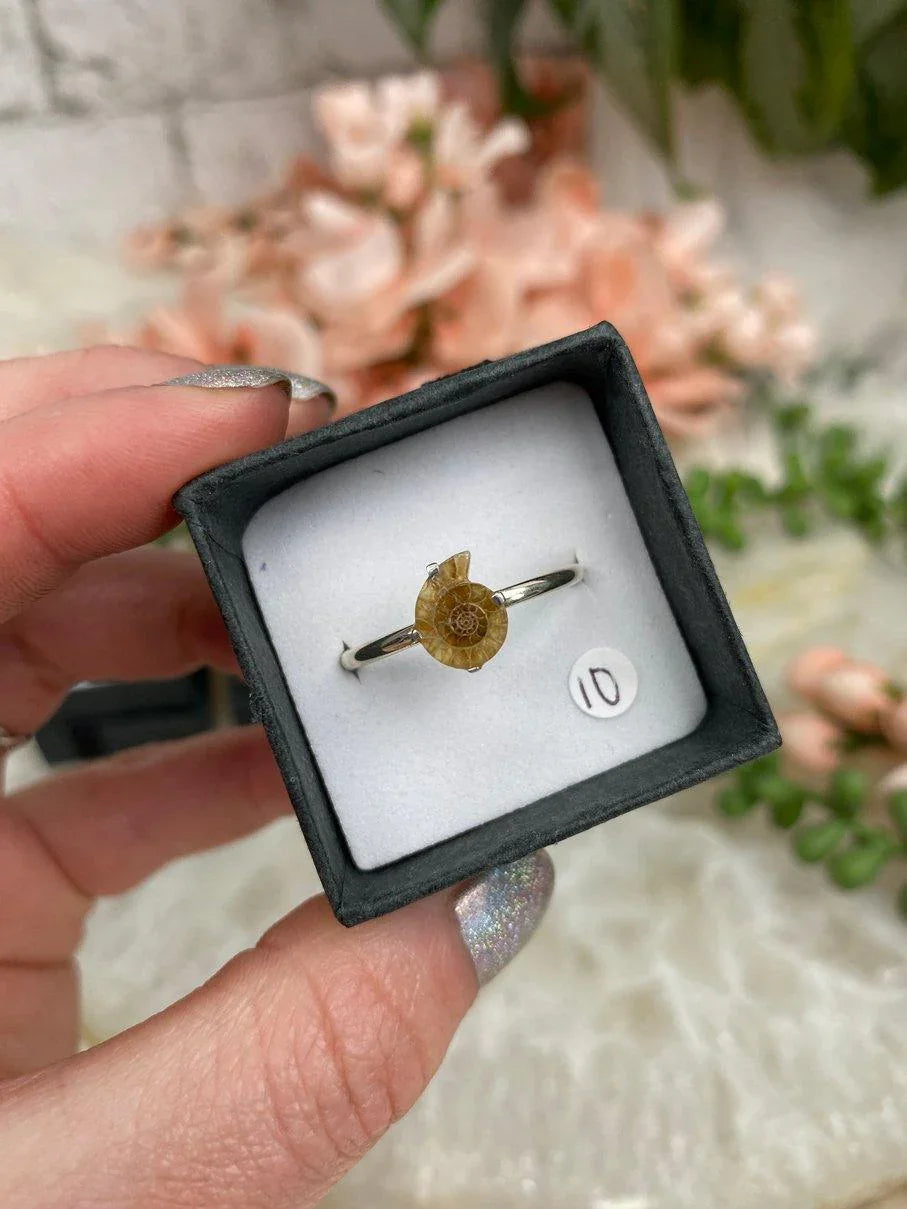 Size-10-Ammonite-Ring-Sterling-Silver-Band