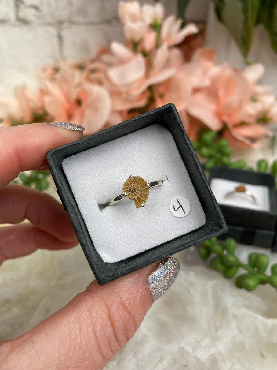Size-4-Ammonite-Ring-Sterling-Silver-Band