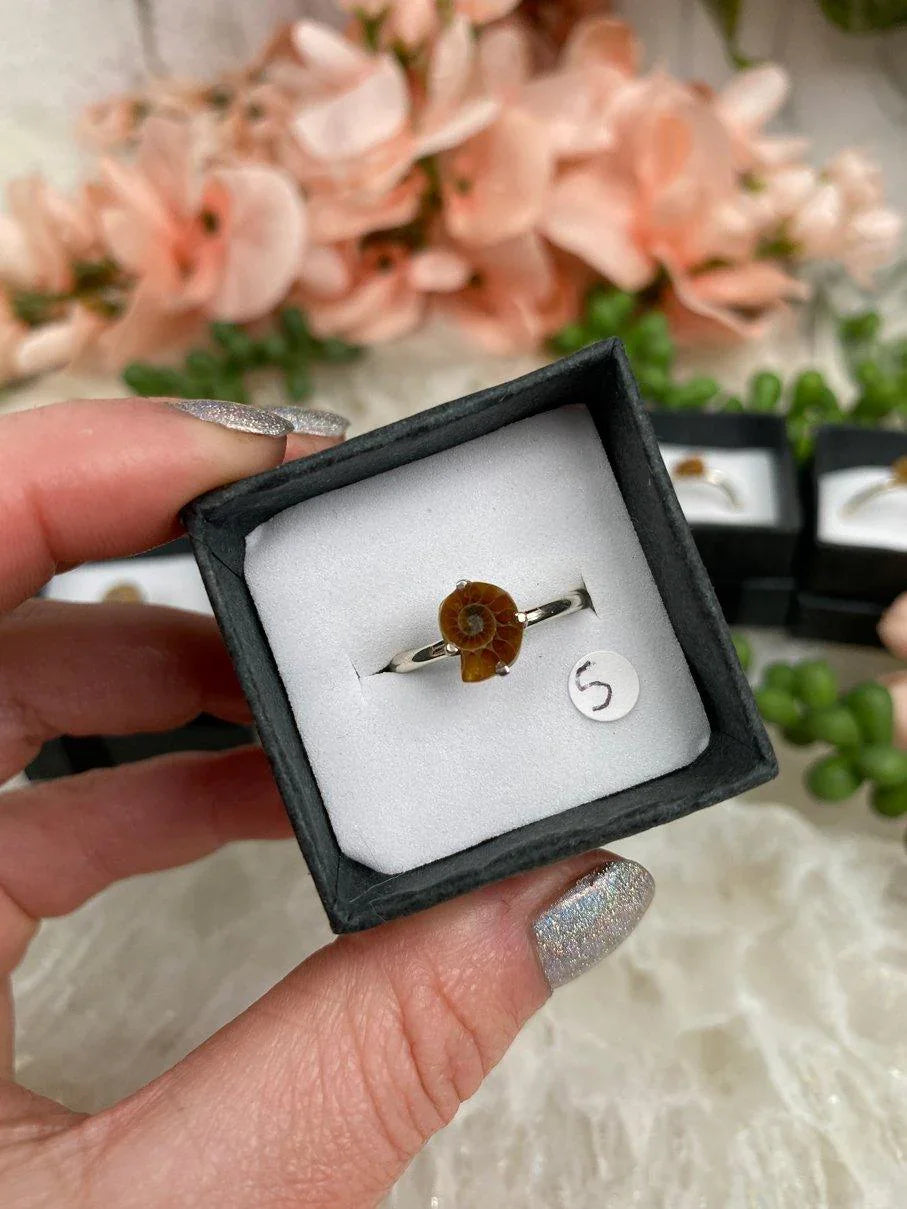 Size-5-Ammonite-Ring-Sterling-Silver-Band