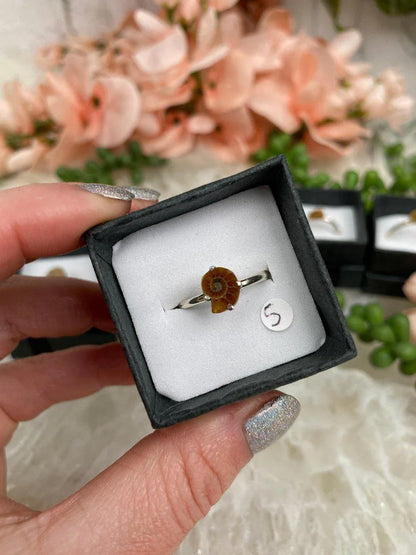 Size-5-Ammonite-Ring-Sterling-Silver-Band