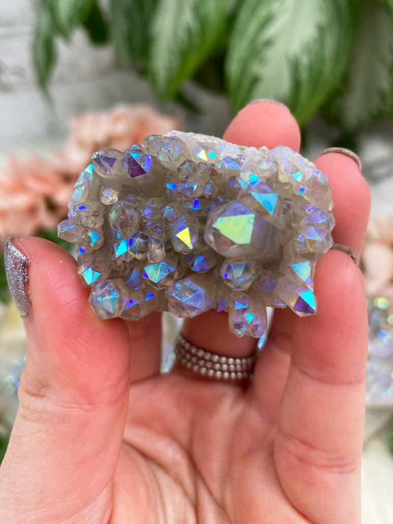 Small-Angel-Aura-Cluster