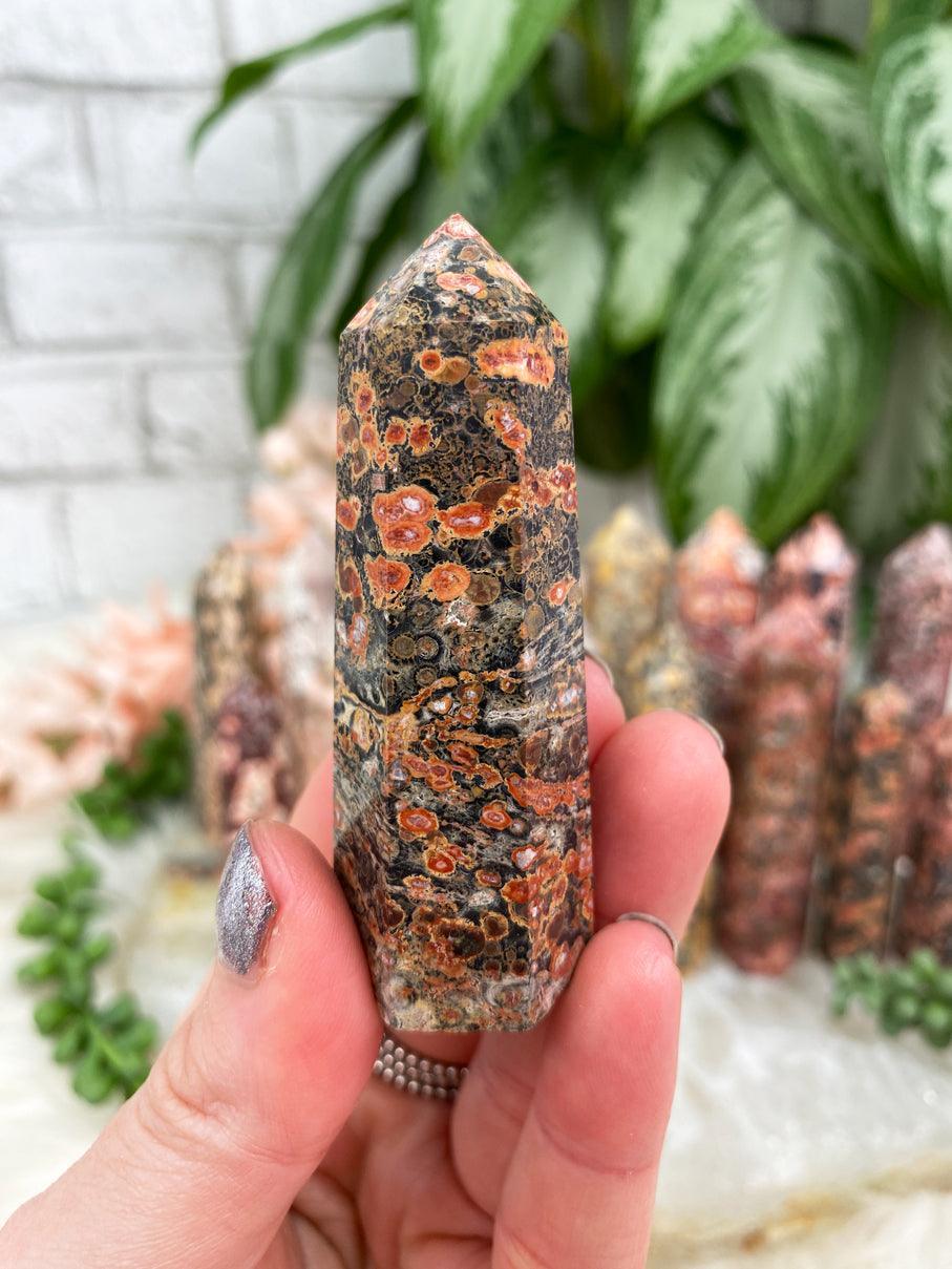 Small-Black-Red-Leopard-Jasper-Point