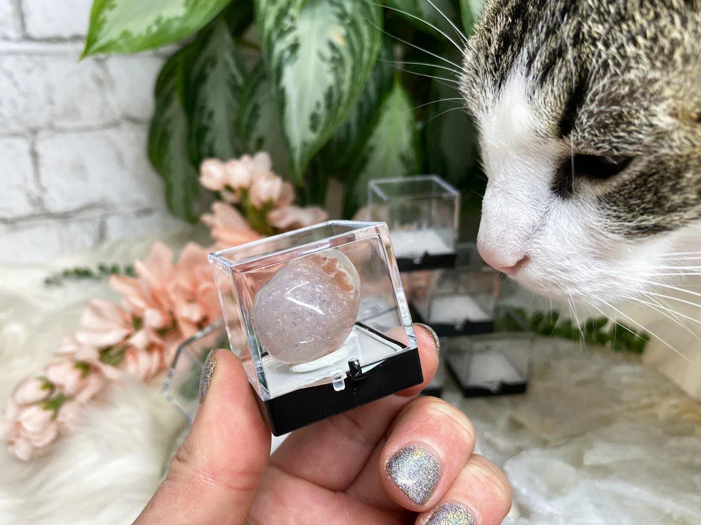 Small clear plastic display boxes for mineral crystal specimens