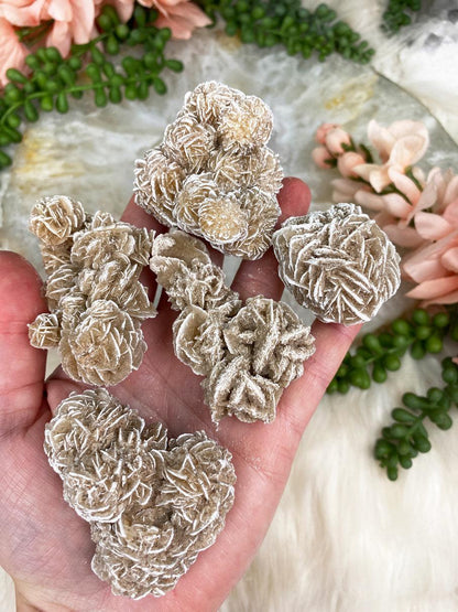    Small-Desert-Rose-Selenite-Crystals
