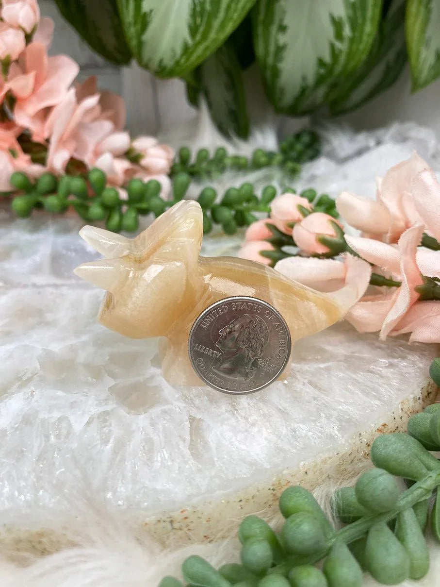 Small-Orange-Onyx-Triceratops