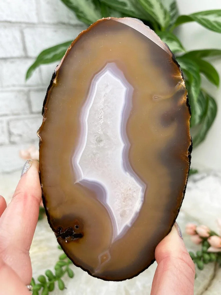 Small-Oval-Agate-slice